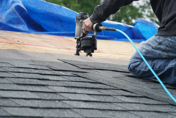 Best Residential Roofing Contractor  in Randolph, NE